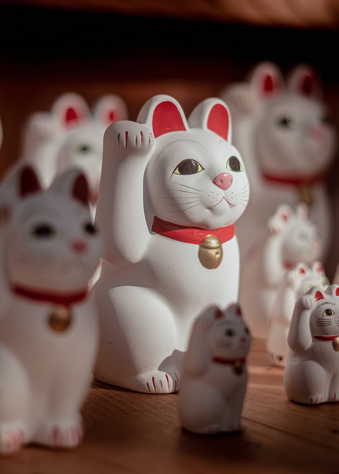 Maneki-Neko Cat figurines at a temple
