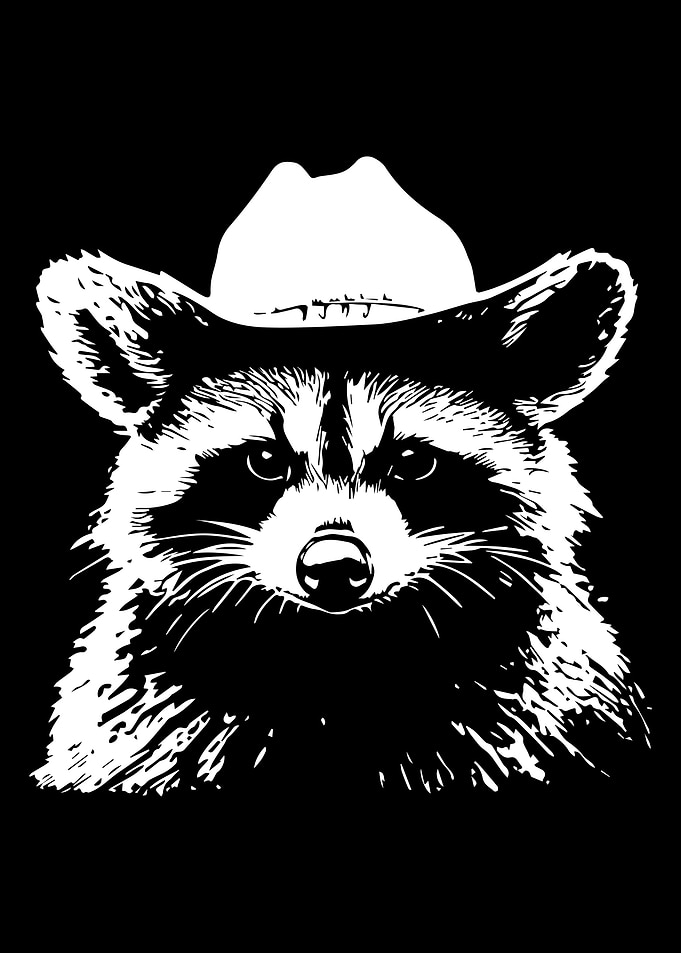 Raccoon in Cowboy Hat