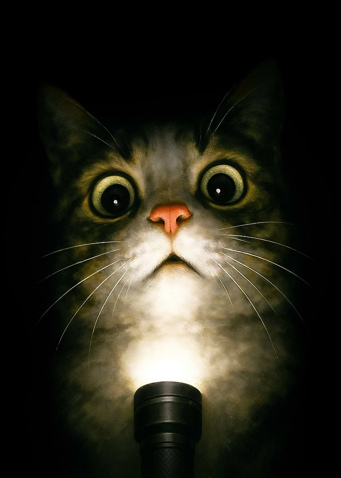 Scared Cat Meme – Flashlight Horror Poster