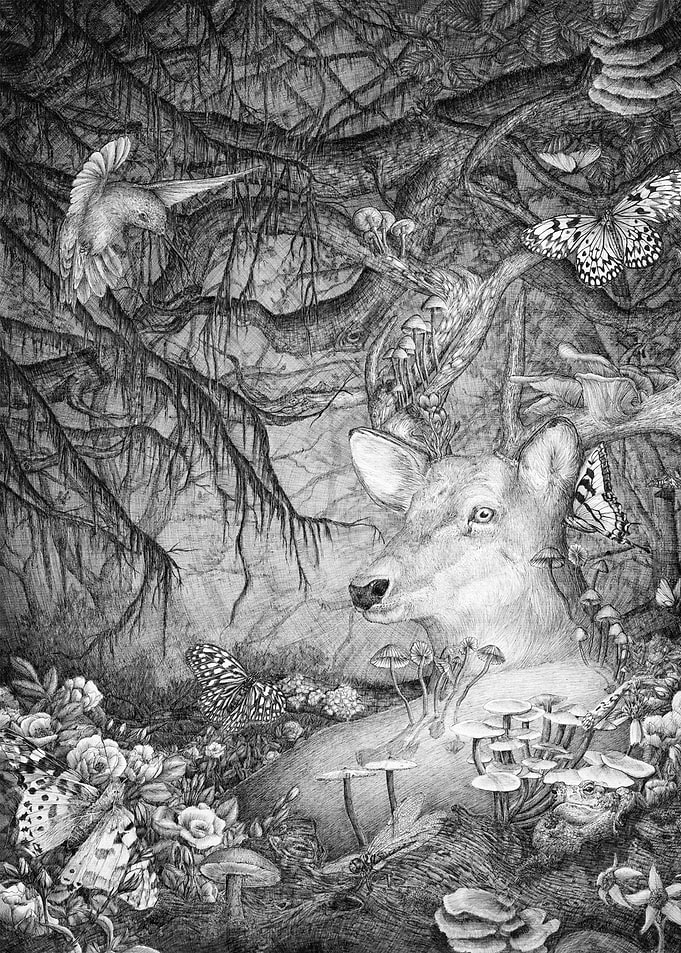 Deer in Enchanted Forest