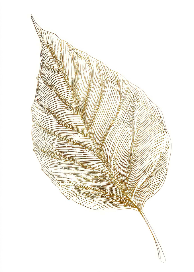 Golden Leaf Illustration