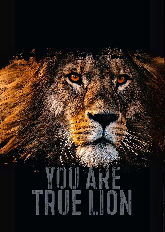 Lion Portrait with Text