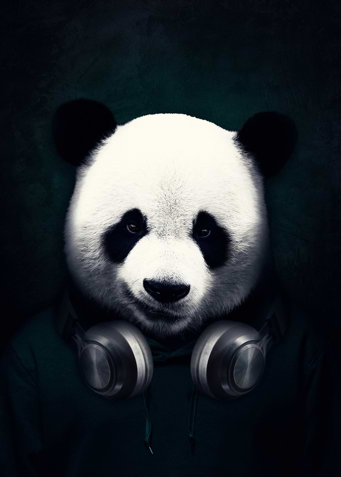 Panda with Headphones
