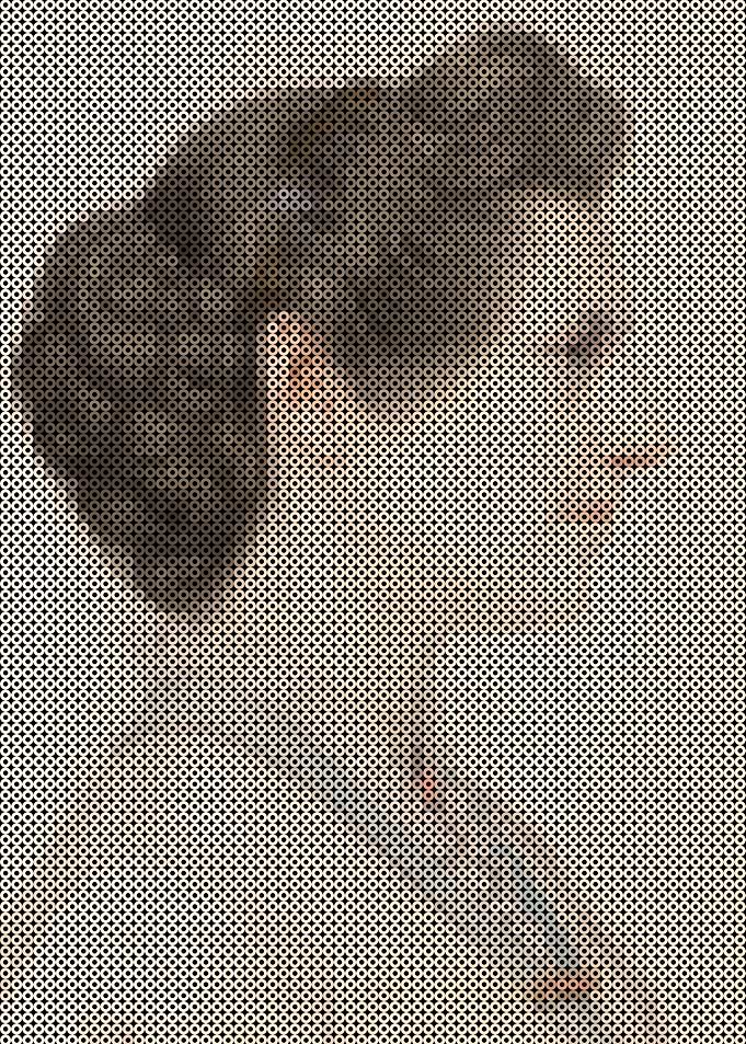 Portrait of a lady in profile by Joseph Edward Southall
