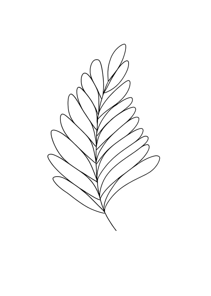 Fern Leaf Minimalist Line Art