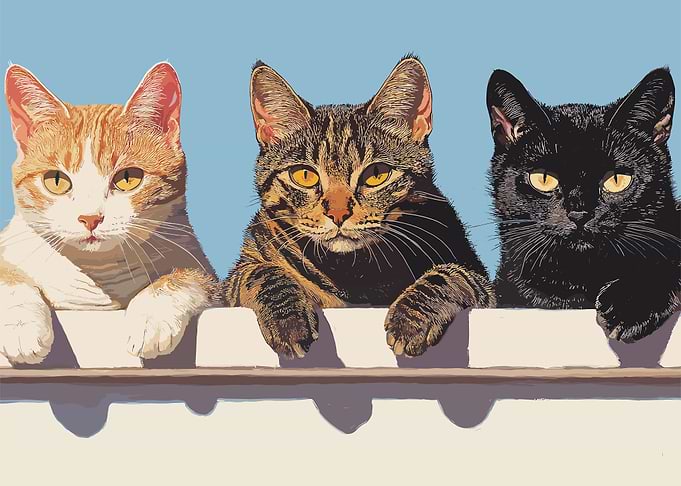 Three Cats on a Fence