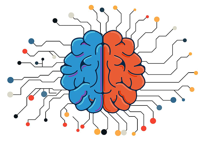 Brain Circuitry Illustration