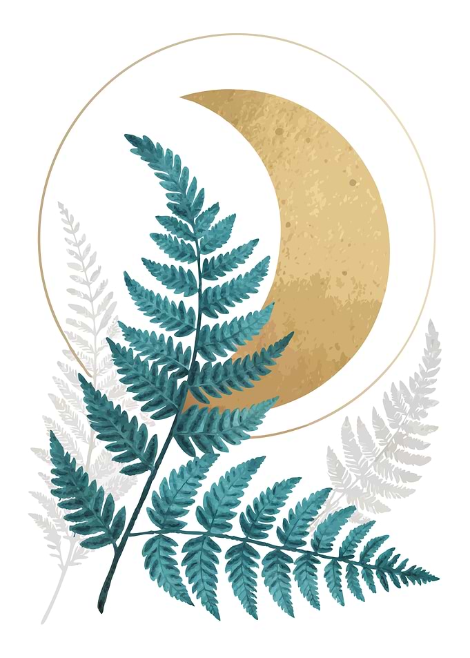Boho Minimalist