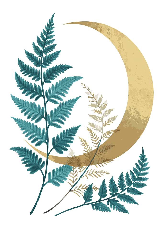 Boho Minimalist