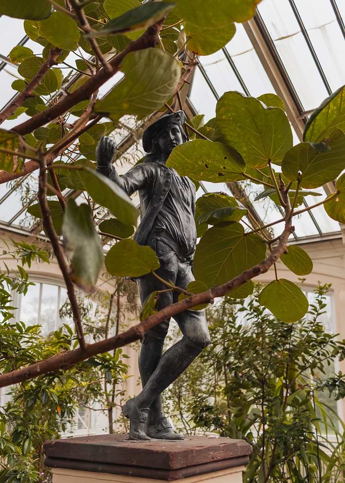 Statue in a Greenhouse