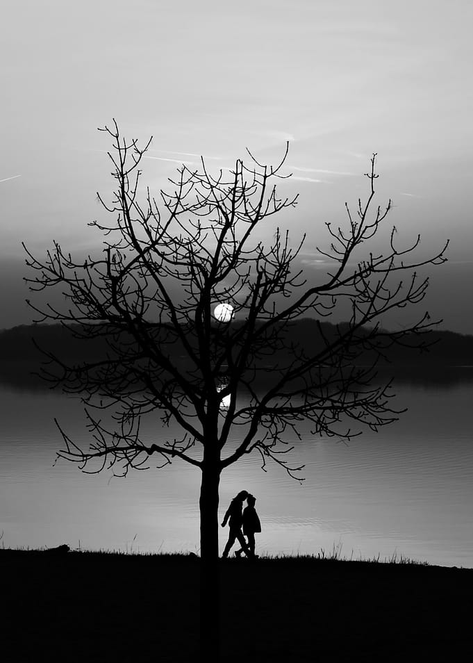 Silhouettes by the Lake