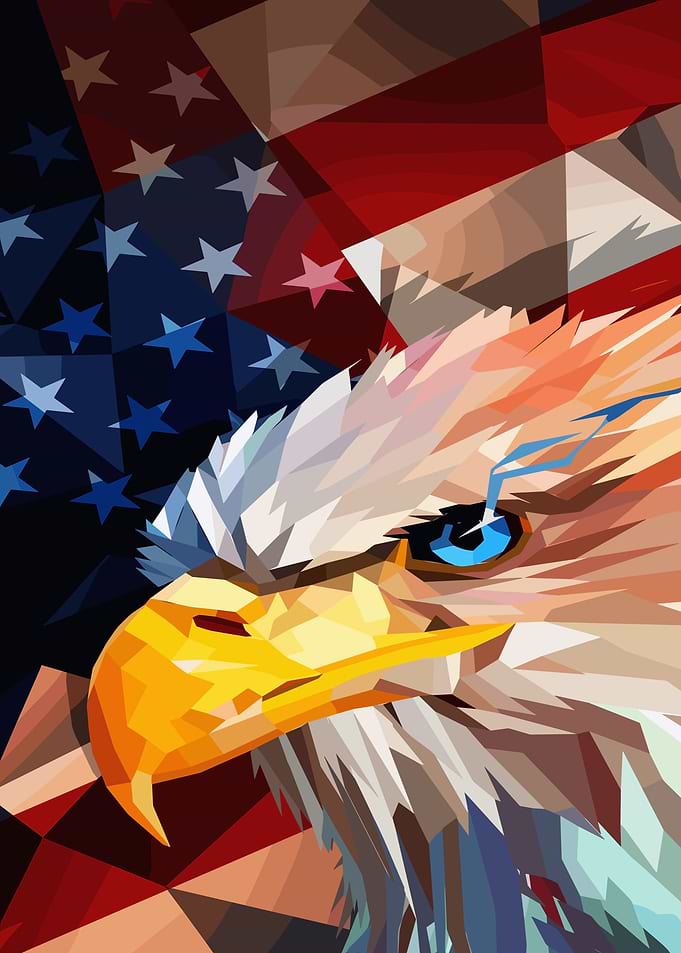 American Bald Eagle