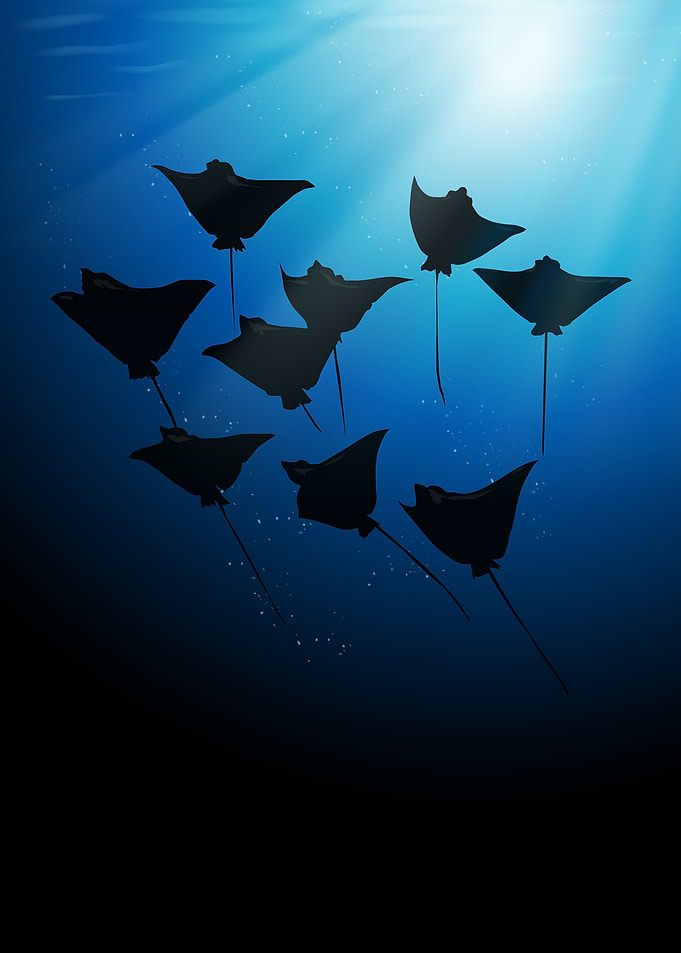 Spotted eagle ray Silhouette
