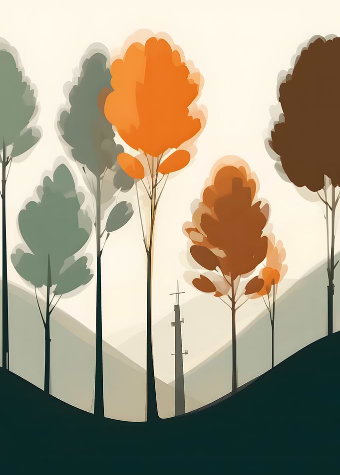 Where the Trees Touch the Sky