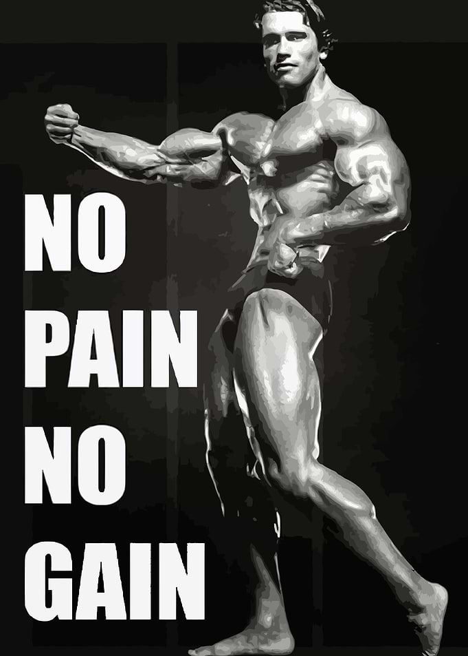 Arnold Schwarzenegger No Pain No Gain