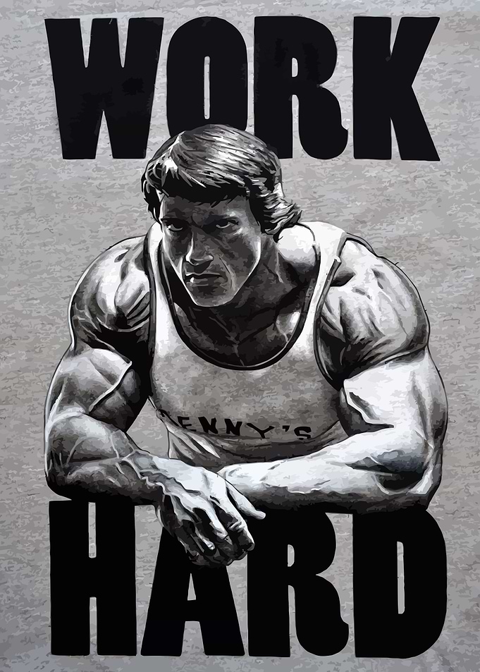 Work Hard Motivational Poster