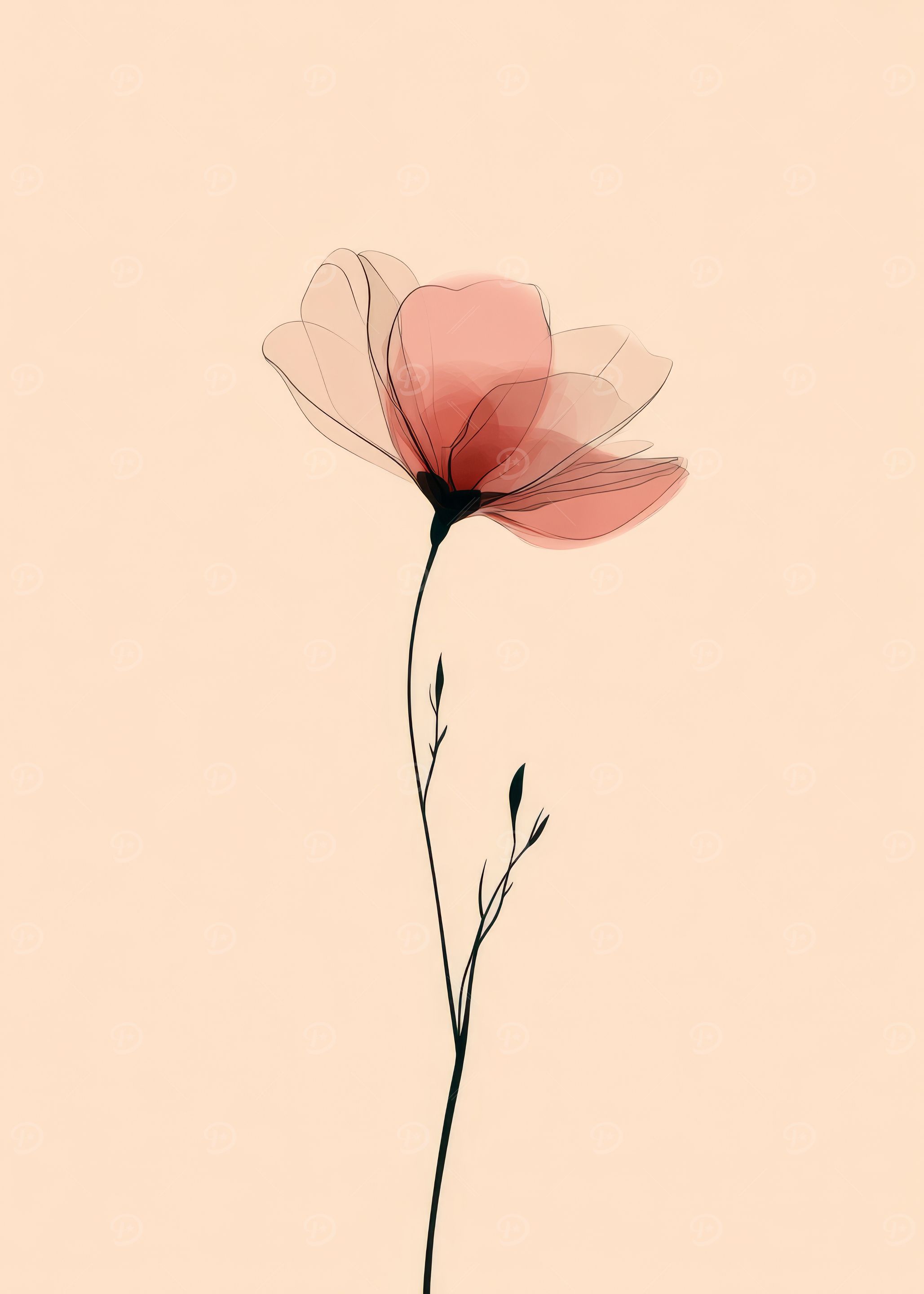 Delicate Pink Flower