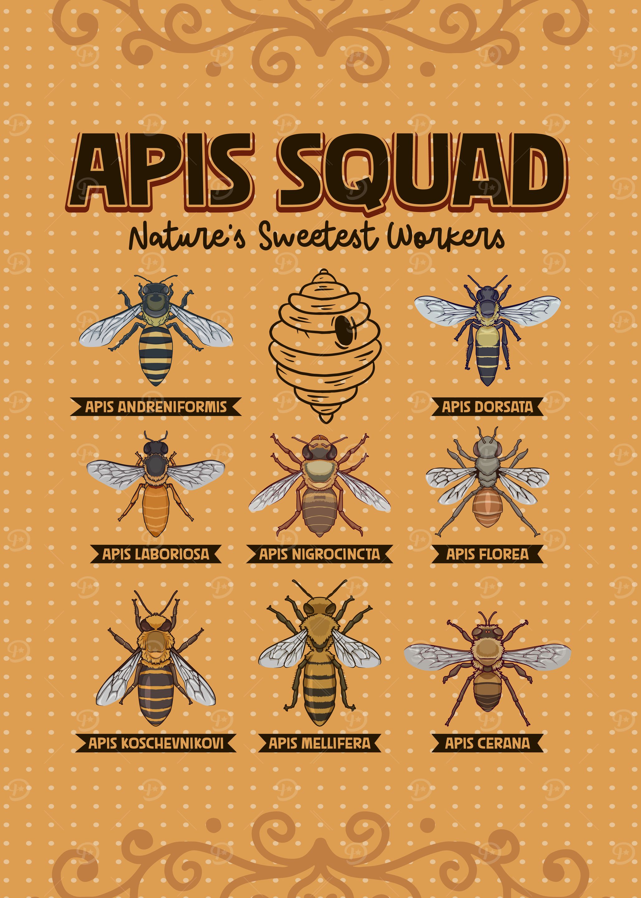 Types of Honey Bees