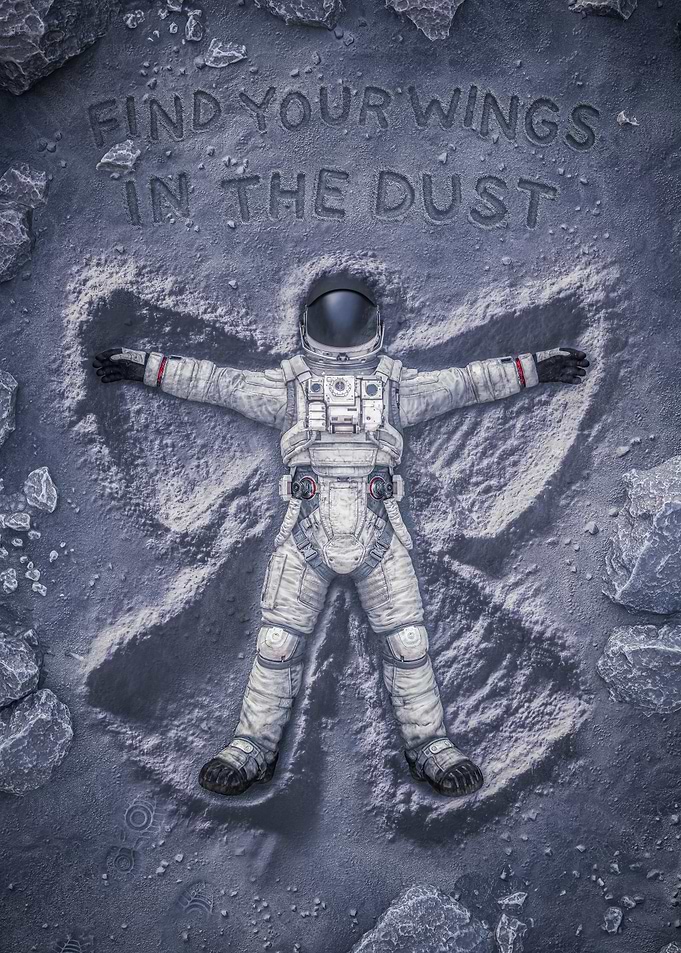 Wings in the Dust