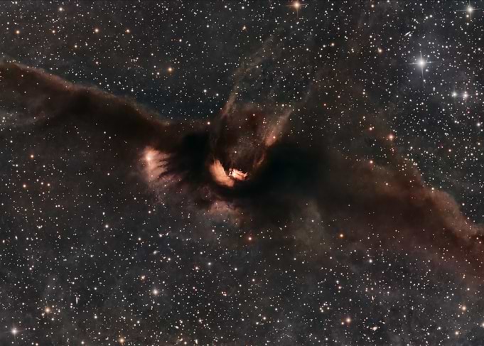 The Cosmic Bat