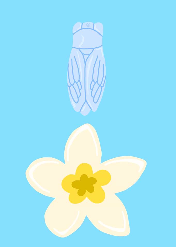 Cicada and Flower
