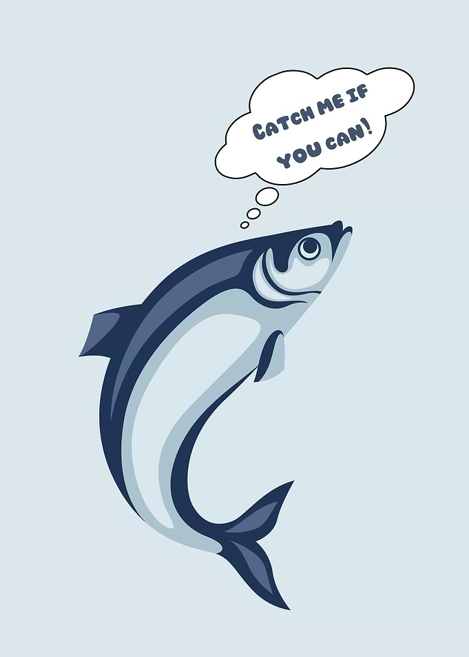 Fishy Catch Me If You Can