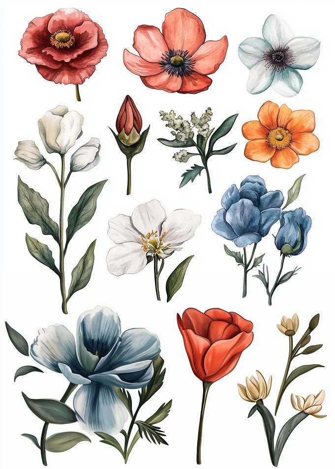 Watercolor Floral Collection
