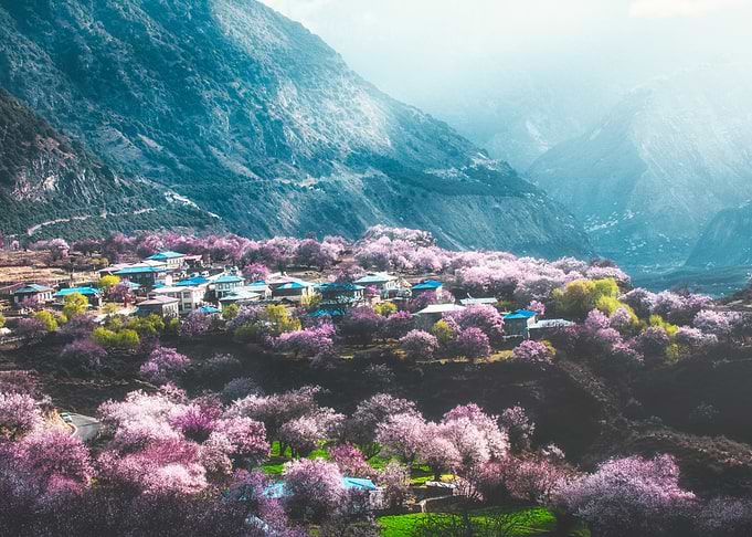 Mountain Village in Bloom