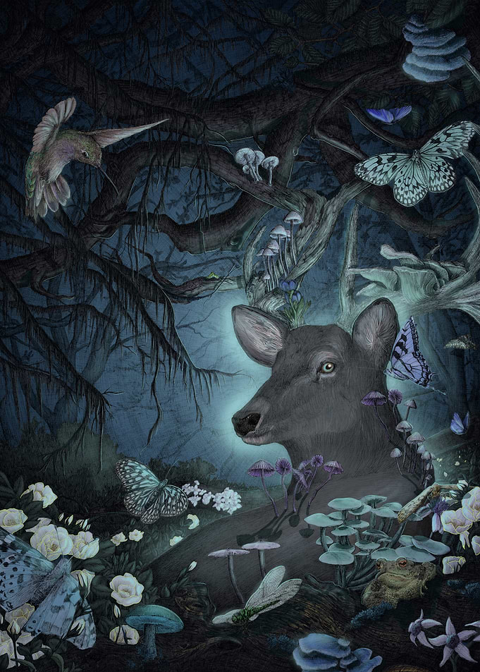 Enchanted Spirit of the Forest