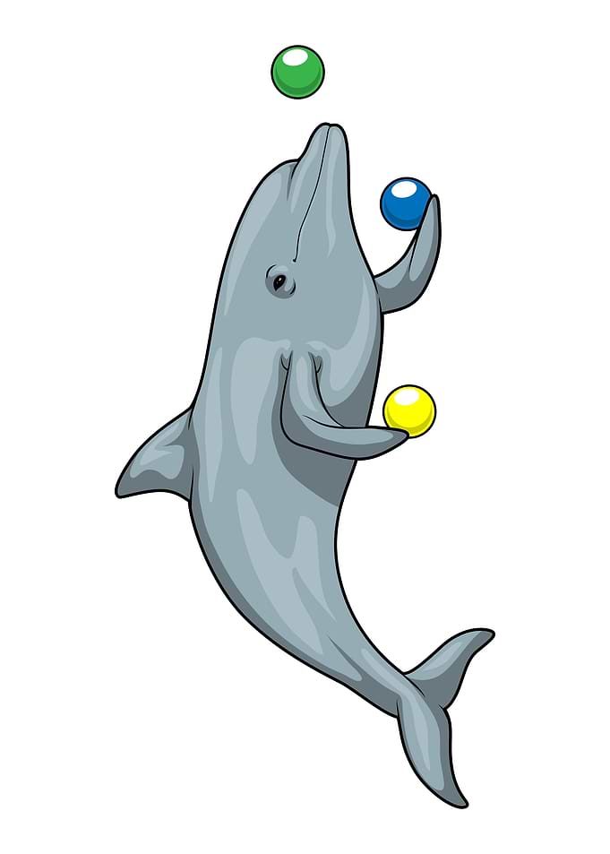 Dolphin Juggler Juggle
