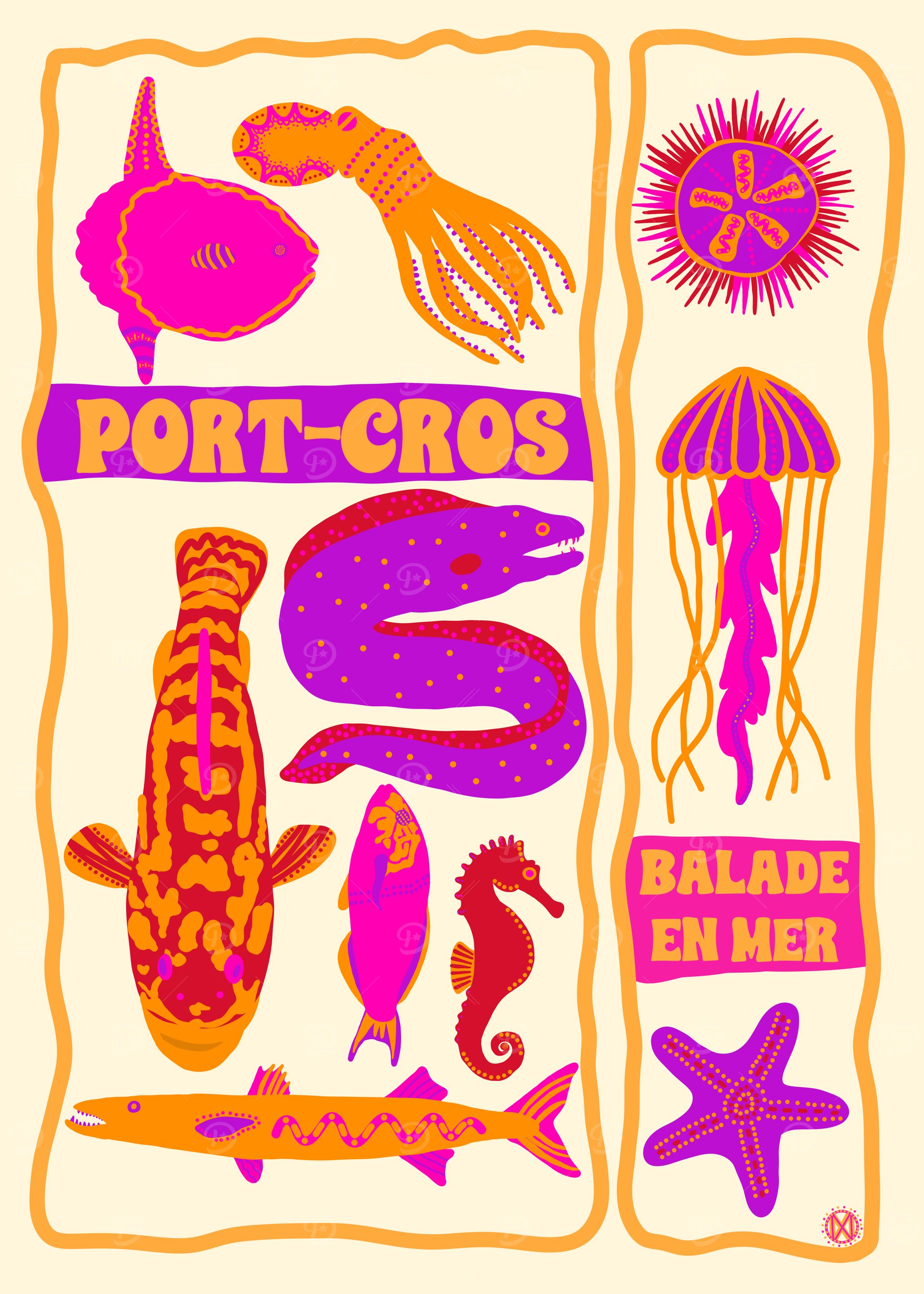 Port-Cros Mediterranean Sea Life