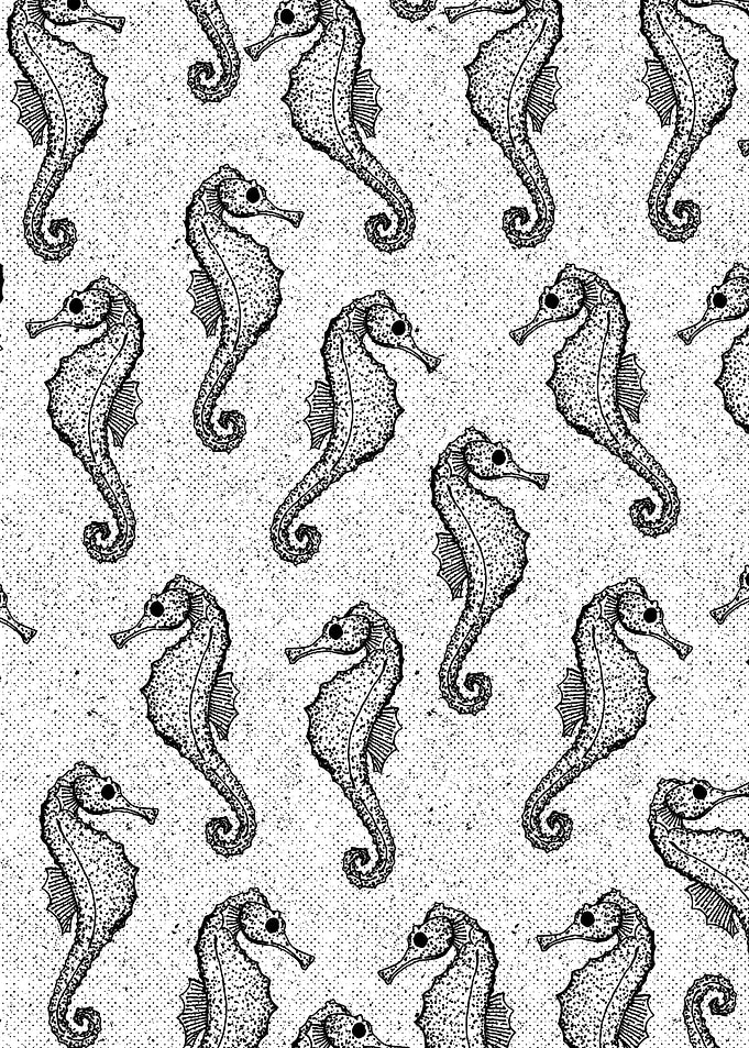 Seahorse Pattern