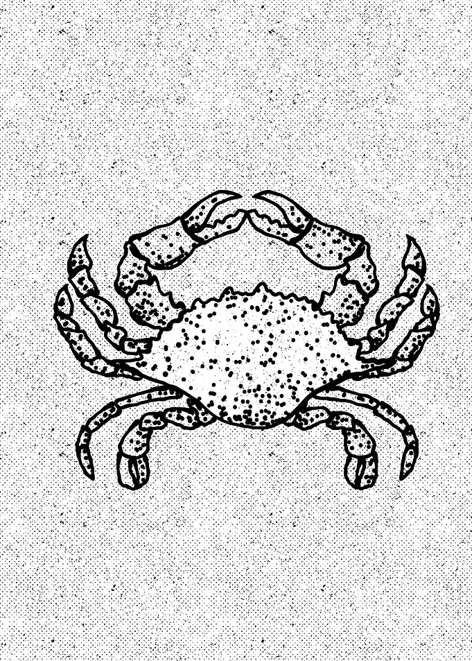 Black and White Crab Illustration