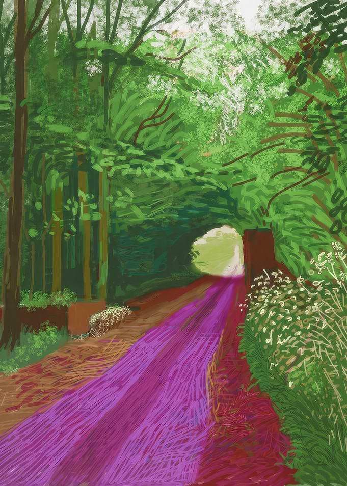 Forest Path with Purple Light