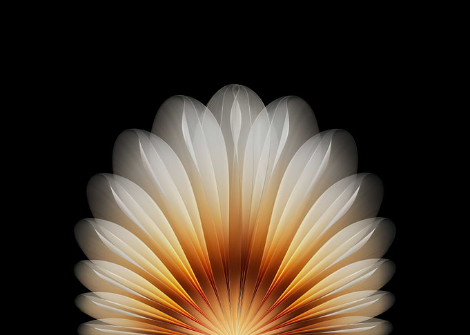 Abstract Flower Petal Design