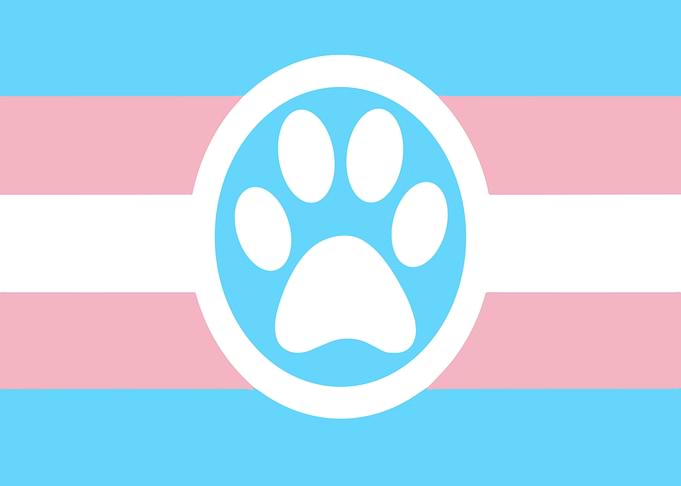 Transgender Pride Paw Print Flag