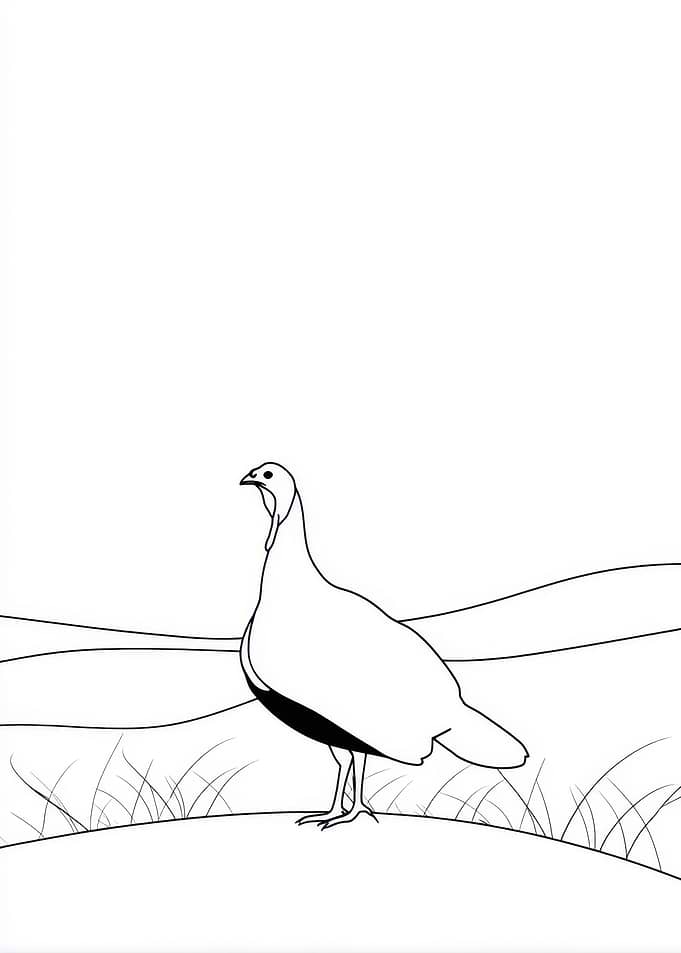 Turkey Coloring Page