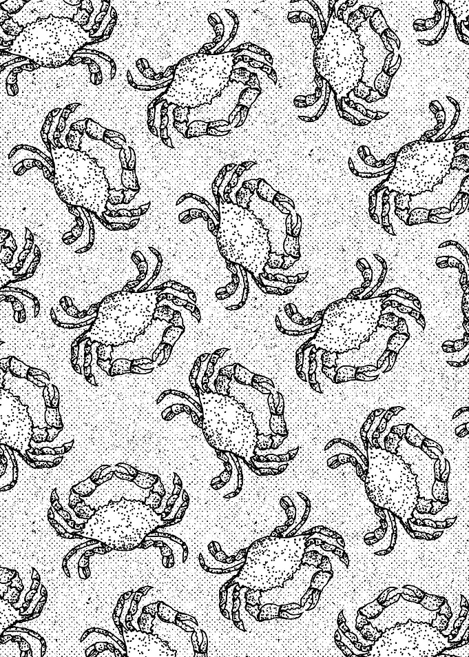 Crab Pattern
