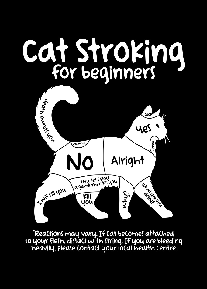 Cat Stroking For Beginners