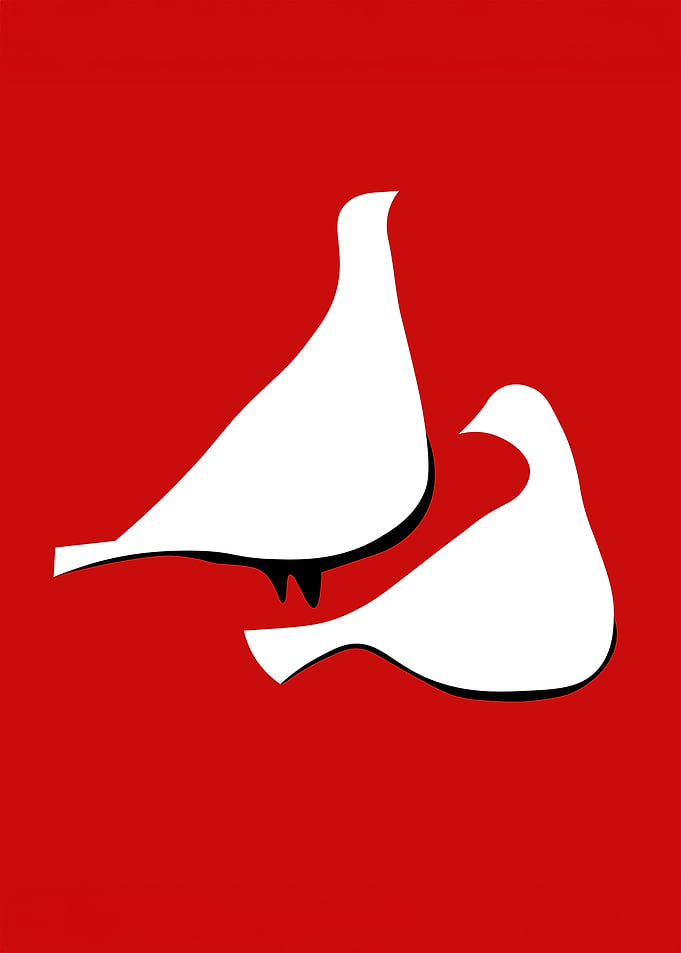 White Doves on Red