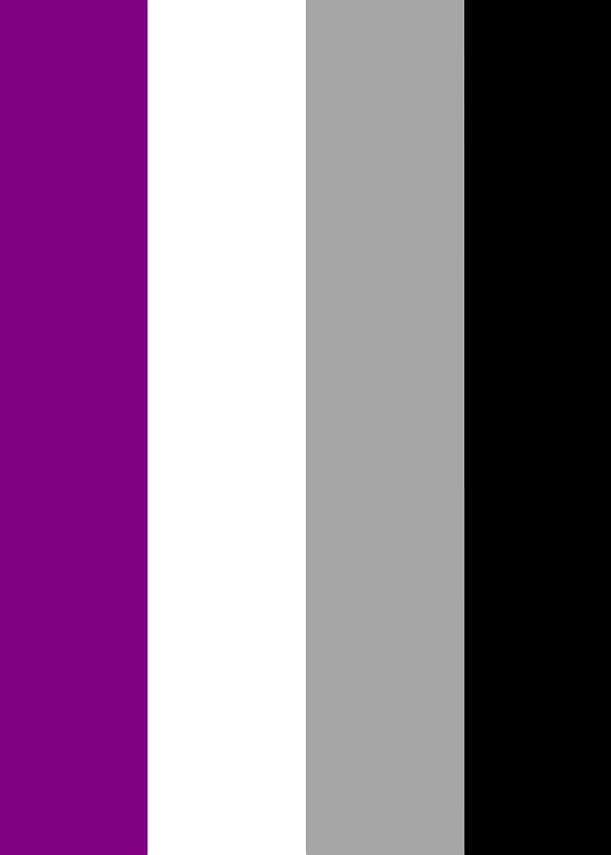 Purple, White, Grey, Black Flag
