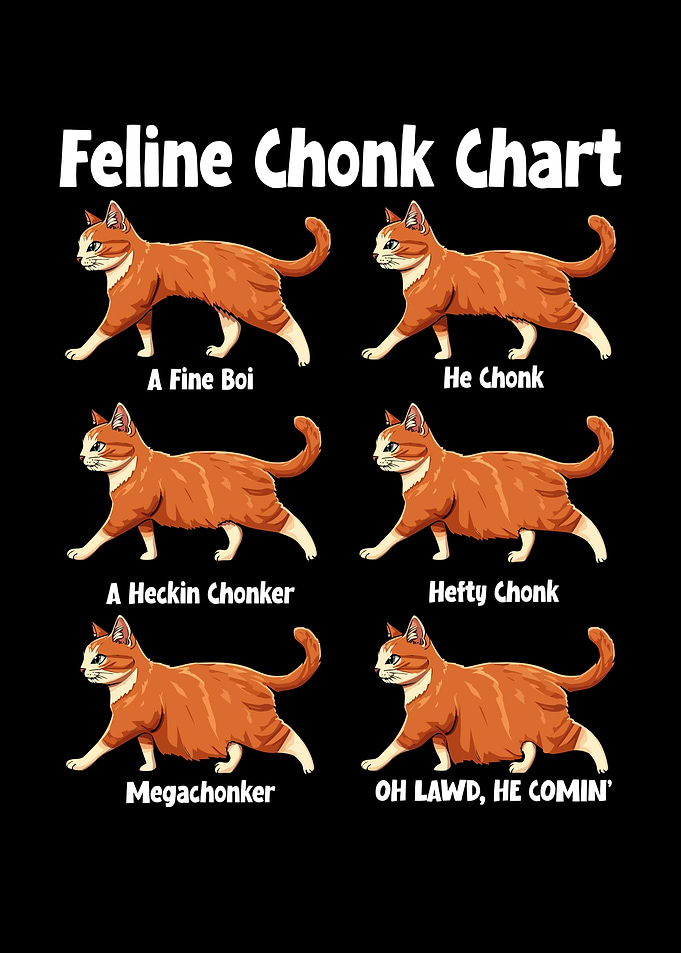 Feline Chonk Chart