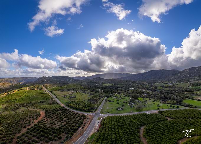 Santa Rosa - Orchard