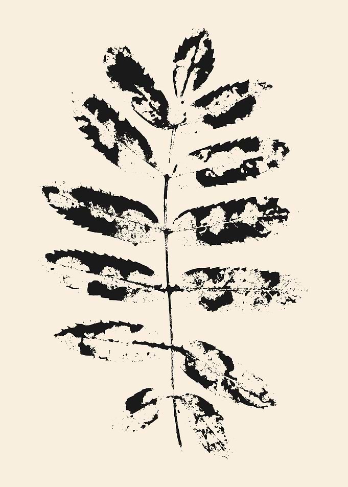 Black and White Leaf Print