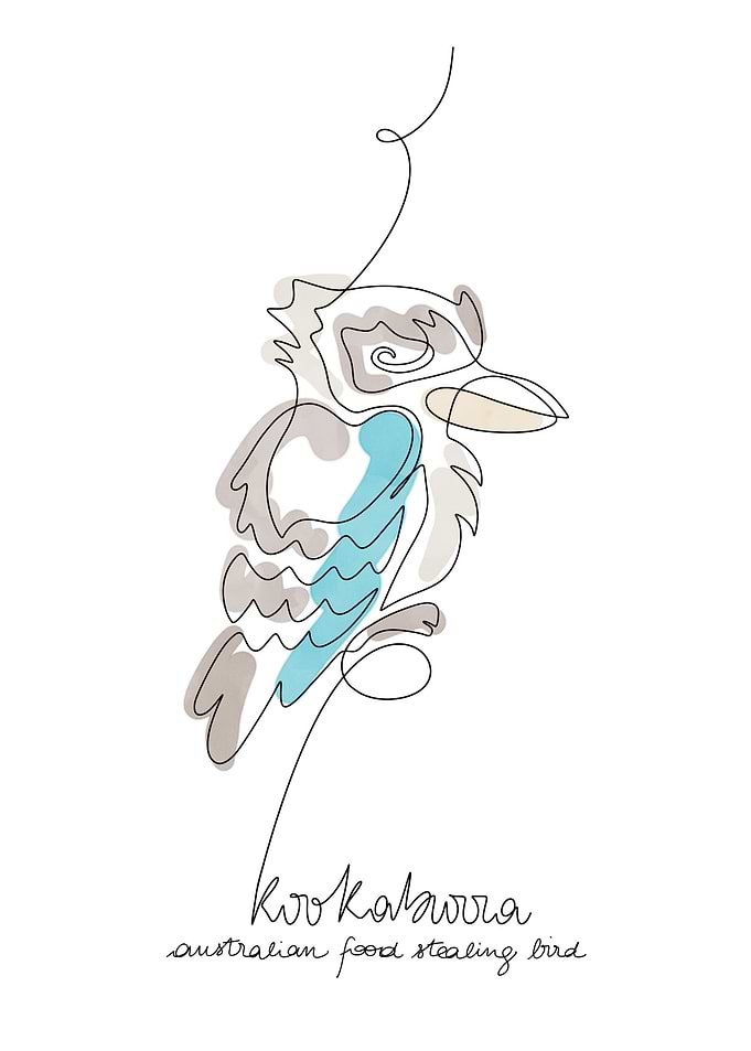 Kookaburra Line Art