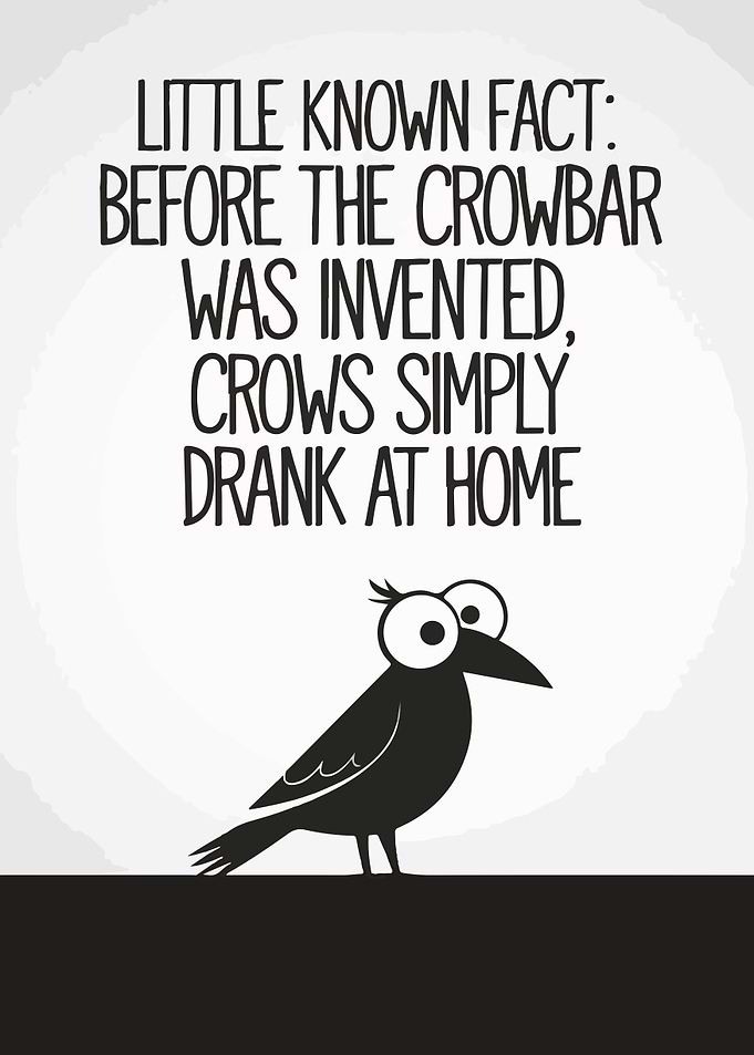 Crowbar Fact Funny Bird
