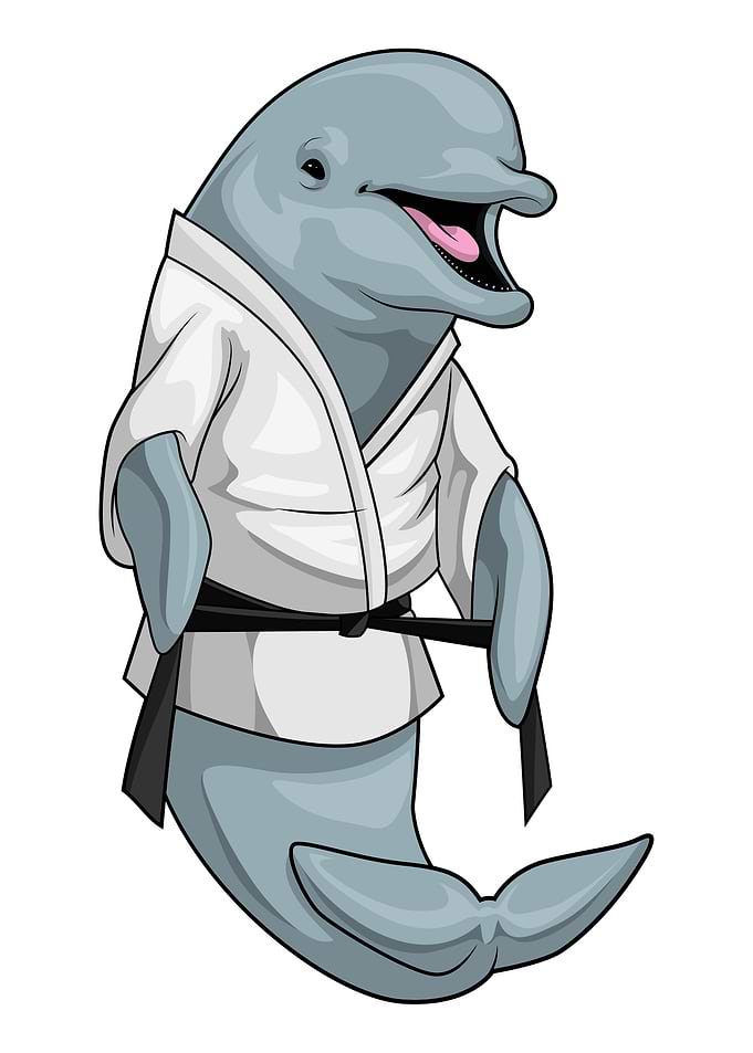 Dolphin Karate Martial arts