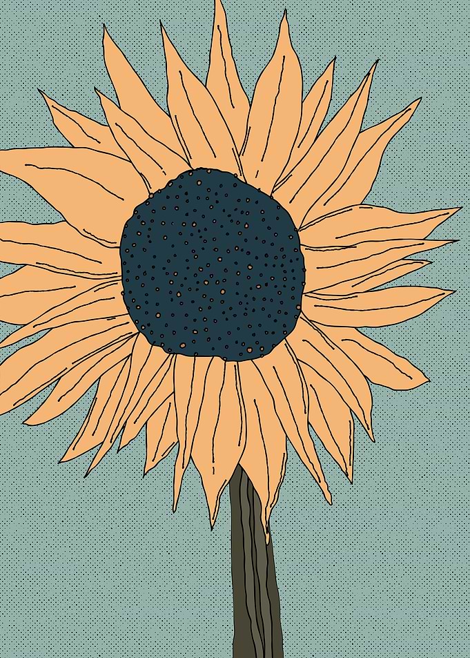 Sunflower Illustration
