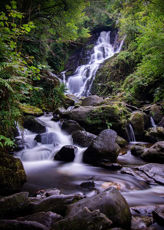 Waterfall in Lush Forest