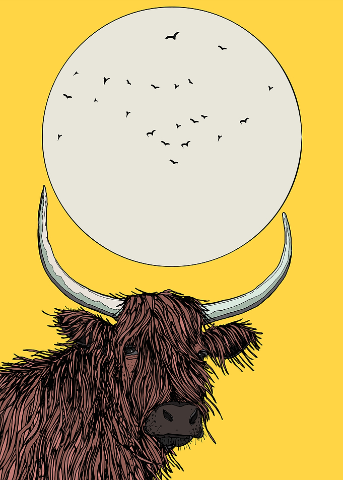 Highland Cow and Moon